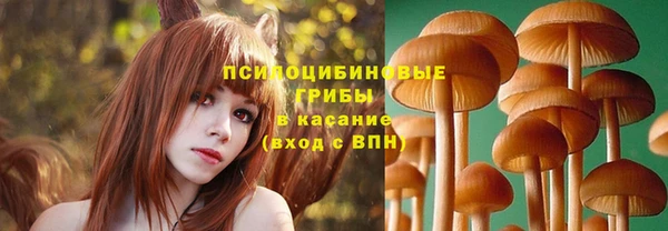 сатива Верхнеуральск