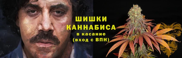 прущая мука Верея