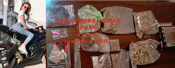 ALPHA PVP Рославль